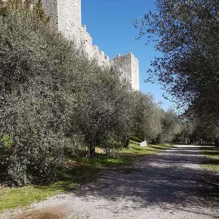 Maison d'hôtes Antica Casa Di Famiglia Castiglione del Lago