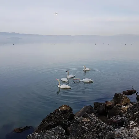 Antica Casa Di Famiglia Maison d'hôtes 3*