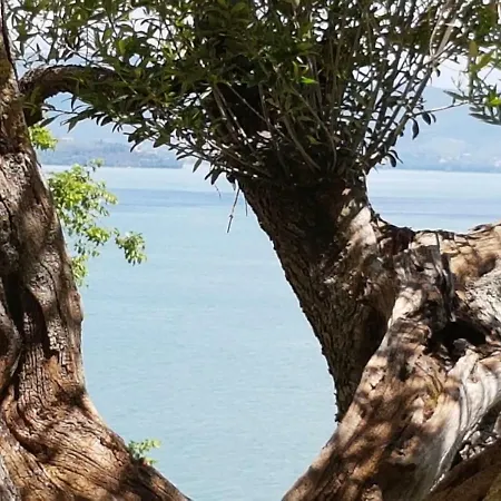 Antica Casa Di Famiglia Affittacamere Castiglione del Lago