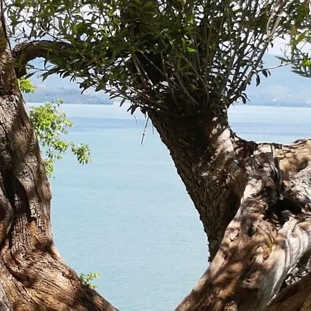 Antica Casa Di Famiglia Vendégház Castiglione del Lago