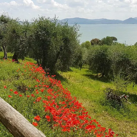 Antica Casa Di Famiglia Affittacamere *